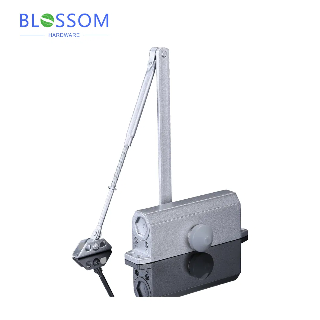 Op Quality Hold-Open and Automatic Door Closer